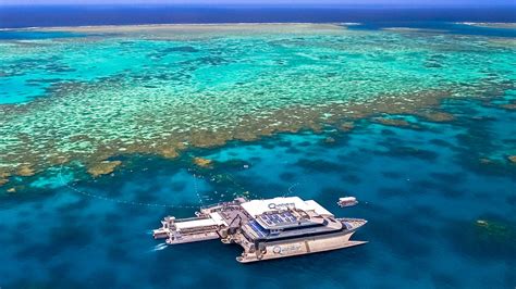 quicksilver port douglas reviews|Quicksilver Cruises (Port Douglas): All You Need to Know.